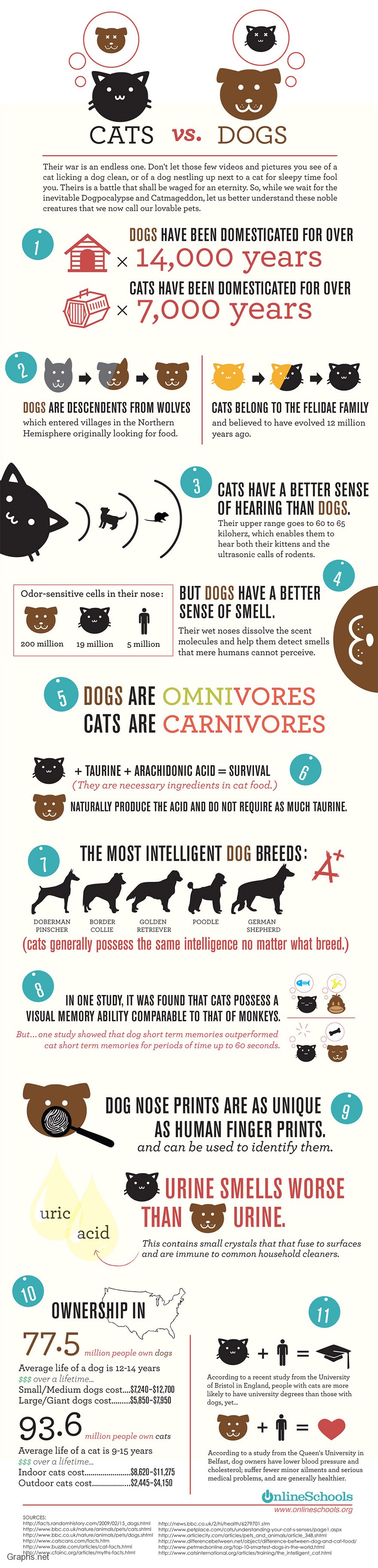 The Top 5 Reason on why you should Chose a Dog Over Cat